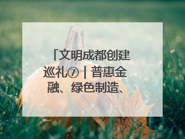 文明成都创建巡礼⑦｜普惠金融、绿色制造、公益助学展现城市文明底色