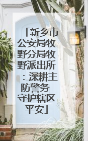 新乡市公安局牧野分局牧野派出所：深耕主防警务 守护辖区平安