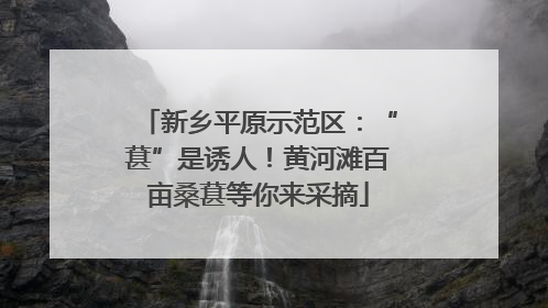 新乡平原示范区：“葚”是诱人！黄河滩百亩桑葚等你来采摘