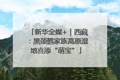 新华全媒+｜西藏：黑颈鹤家族高原湿地喜添“萌宝”