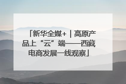 新华全媒+｜高原产品上“云”端——西藏电商发展一线观察