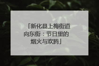 新化县上梅街道向东街：节日里的烟火与欢腾