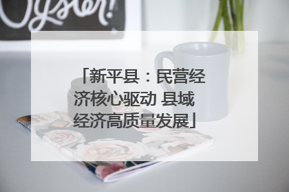 新平县：民营经济核心驱动 县域经济高质量发展