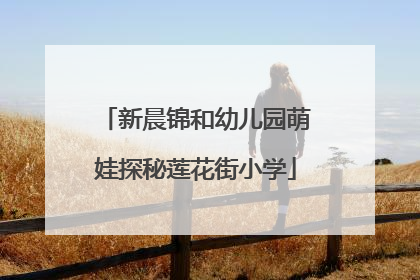 新晨锦和幼儿园萌娃探秘莲花街小学