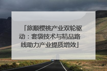 旅顺樱桃产业双轮驱动：套袋技术与精品路线助力产业提质增效