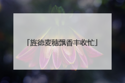 旌德麦穗飘香丰收忙