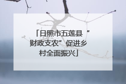 日照市五莲县“财政支农”促进乡村全面振兴