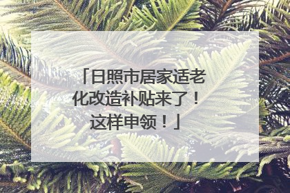 日照市居家适老化改造补贴来了！这样申领！