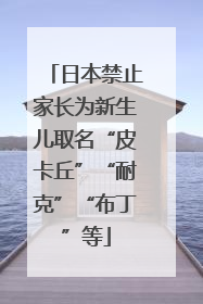 日本禁止家长为新生儿取名“皮卡丘”“耐克”“布丁”等