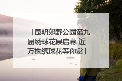 昆明郊野公园第九届绣球花展启幕 近万株绣球花等你赏