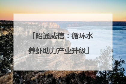 昭通威信：循环水养虾助力产业升级
