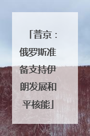 普京：俄罗斯准备支持伊朗发展和平核能