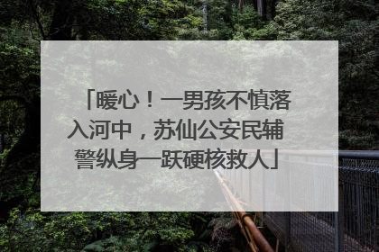 暖心！一男孩不慎落入河中，苏仙公安民辅警纵身一跃硬核救人