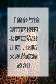 曾参与检测黄鹤楼的老牌建筑设计院，因防火规范疏漏被罚