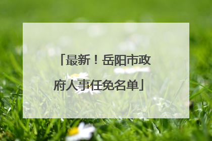 最新！岳阳市政府人事任免名单
