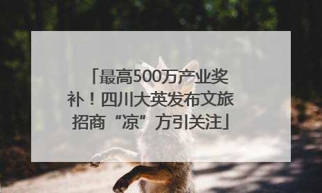 最高500万产业奖补！四川大英发布文旅招商“凉”方引关注
