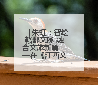 朱虹：智绘赣鄱文脉 融合文旅新篇——在《江西文化地图集》专家评审会上的演讲