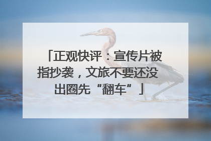 正观快评：宣传片被指抄袭，文旅不要还没出圈先“翻车”