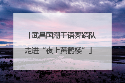 武昌国潮手语舞蹈队走进“夜上黄鹤楼”