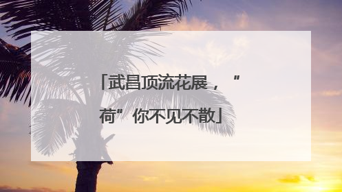 武昌顶流花展，“荷”你不见不散