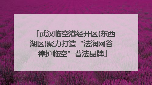武汉临空港经开区(东西湖区)聚力打造“法润网谷 律护临空”普法品牌