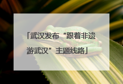 武汉发布“跟着非遗游武汉”主题线路