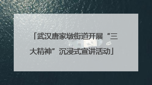 武汉唐家墩街道开展“三大精神”沉浸式宣讲活动