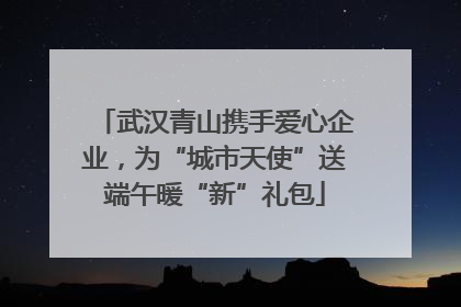 武汉青山携手爱心企业，为“城市天使”送端午暖“新”礼包
