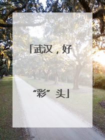 武汉，好“彩”头