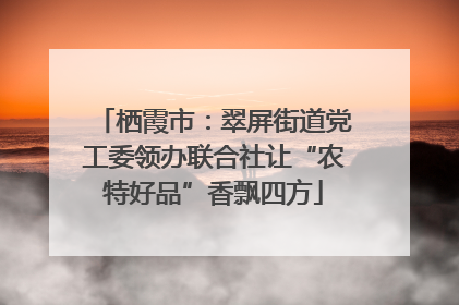 栖霞市：翠屏街道党工委领办联合社让“农特好品”香飘四方