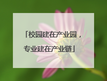 校园建在产业园，专业建在产业链