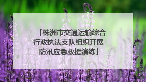 株洲市交通运输综合行政执法支队组织开展防汛应急救援演练