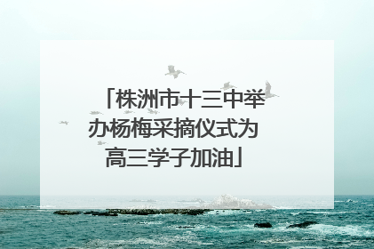 株洲市十三中举办杨梅采摘仪式为高三学子加油