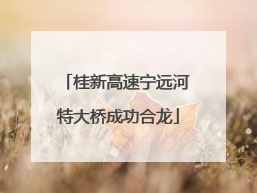 桂新高速宁远河特大桥成功合龙