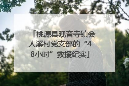 桃源县观音寺镇会人溪村党支部的“48小时”救援纪实