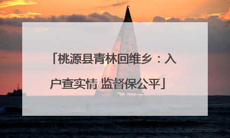 桃源县青林回维乡：入户查实情 监督保公平