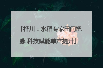 桦川：水稻专家田间把脉 科技赋能单产提升