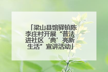 梁山县馆驿镇陈李庄村开展“普法进社区‘典’亮新生活”宣讲活动