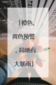 橙色、黄色预警，局地有大暴雨