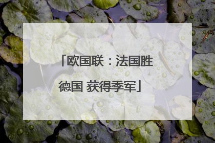 欧国联：法国胜德国 获得季军