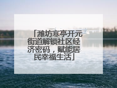 潍坊寒亭开元街道解锁社区经济密码，赋能居民幸福生活