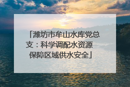 潍坊市牟山水库党总支：科学调配水资源 保障区域供水安全
