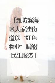 潍坊滨海区大家洼街道以“红色物业”赋能民生服务