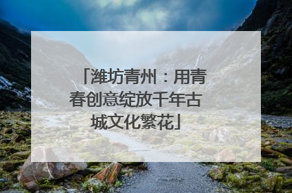 潍坊青州：用青春创意绽放千年古城文化繁花