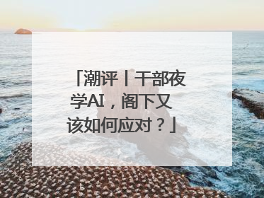 潮评丨干部夜学AI，阁下又该如何应对？