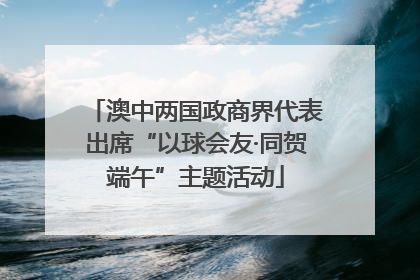 澳中两国政商界代表出席“以球会友·同贺端午”主题活动