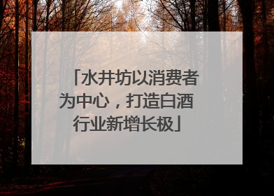 水井坊以消费者为中心，打造白酒行业新增长极