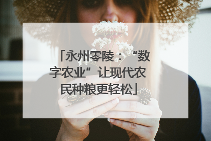 永州零陵：“数字农业”让现代农民种粮更轻松