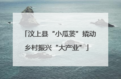 汶上县“小瓜蒌”撬动乡村振兴“大产业”