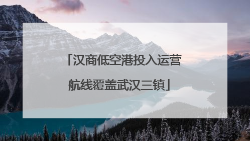 汉商低空港投入运营 航线覆盖武汉三镇